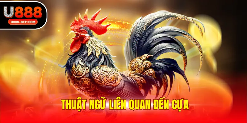 Thuật ngữ liên quan đến cựa 